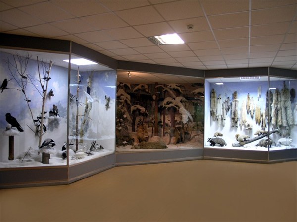 Курганский областной краеведческий музей