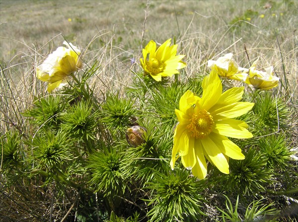 P5060044