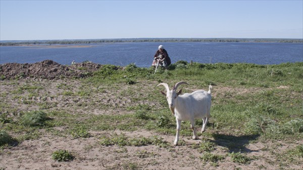 Свияжская идиллия