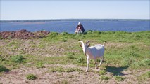 Свияжская идиллия