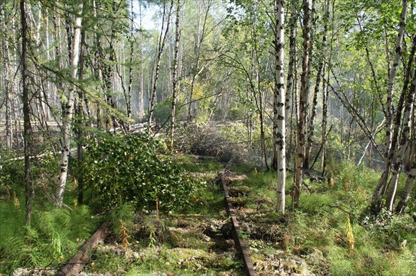 Пожар на перегоне