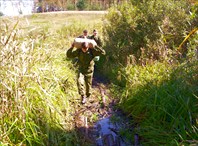 Преодоление болота по жердям-деревня Уколово
