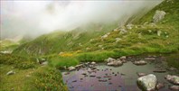 Загедан 2005