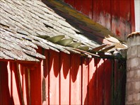 Каменная черепица