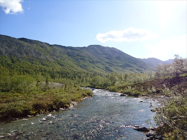 Р. Петрелиуса