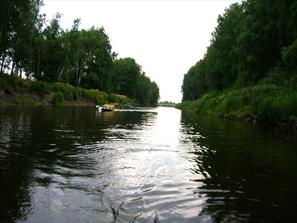 15 июля 2006г. Река Лух. Знаменитая березовая аллея.