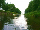 15 июля 2006г. Река Лух. Знаменитая березовая аллея.