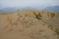 Чарские пески. Хребет Кодар