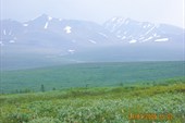 Тундра
