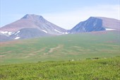 г.Пайер