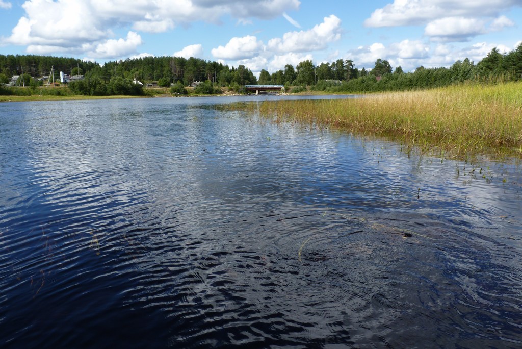 Река 4400 км. Озеро Салонъярви Карелия. Озеро Салонъярви рыбалка. Салонъярви Карелия рыбалка озеро. Оз. Ягляярви.