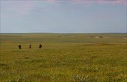 Волок по тундре. Жарко.