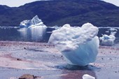 Айсберги в Sermilik fjord.