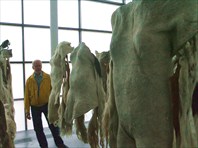 Хельсинки на день о музеям