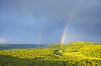 Отличное предзнаменование!