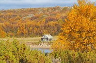 дом связистов на Пялке