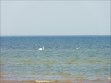 DSC02736