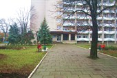 IMG_1030