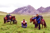 Путь на перевал. Нам помогли выносливые тибетские лошади