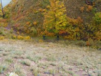 Полез наверх