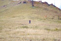 Я пошел дальше