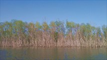 P_20190510_172431_HDR