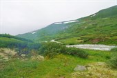 08069813