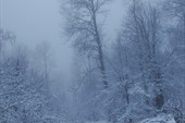 2011-11_Сумган_р_000-021