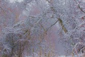 2011-11_Сумган_р_000-023
