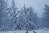 2011-11_Сумган_р_000-024