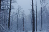 2011-11_Сумган_р_000-025