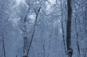 2011-11_Сумган_р_000-026
