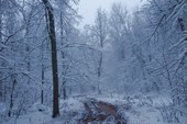 2011-11_Сумган_р_000-029