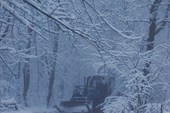 2011-11_Сумган_р_000-035