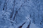 2011-11_Сумган_р_000-064
