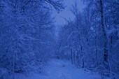 2011-11_Сумган_р_000-082