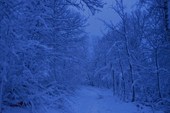 2011-11_Сумган_р_000-083