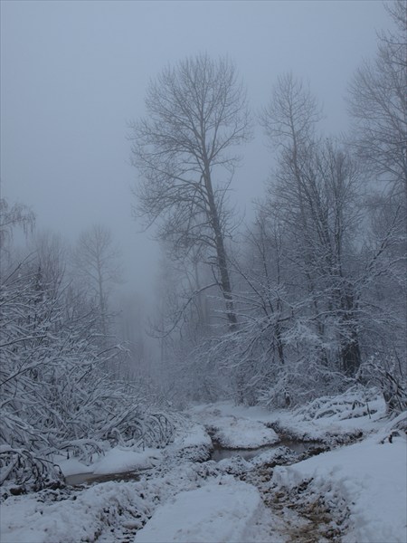 2011-11_Сумган_р_000-021
