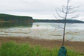 Бухта Абрек на Малом Шантаре. Ужасное комарино-болотное место