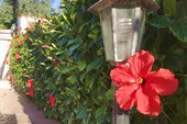 CYPRUS2018_168