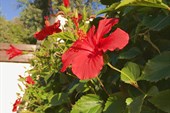 CYPRUS2018_169