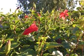 CYPRUS2018_170