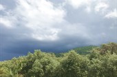 IMG_4104