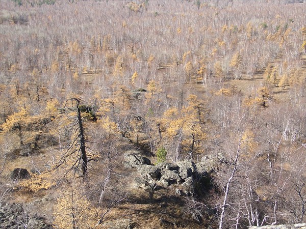 Смотрим вниз