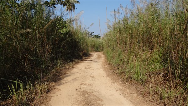 Дорога на Лонлей Бич