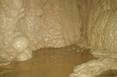 DSCN1932