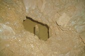 DSCN1945