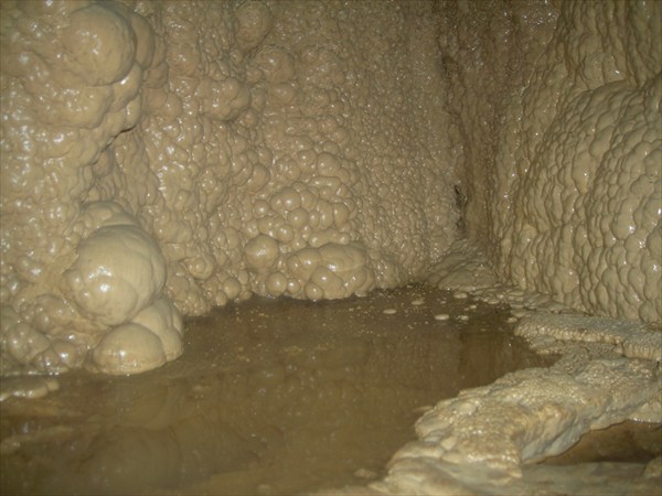 DSCN1932