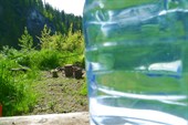 Солнце и вода