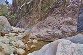 IMG_20220421_135533